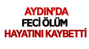 Aydın Haberleri: Aydın’ın Yenipazar ilçesinde Mehmet Dülger idaresindeki traktör şarampole