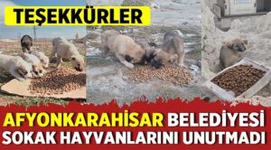 Afyonkarahisar Belediye Başkanı Mehmet Zeybek, “Siz evde kalın, onlar bize