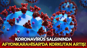 Dünyada yeni tip koronavirüs (COVID-19) vaka sayısı 116 milyon 670