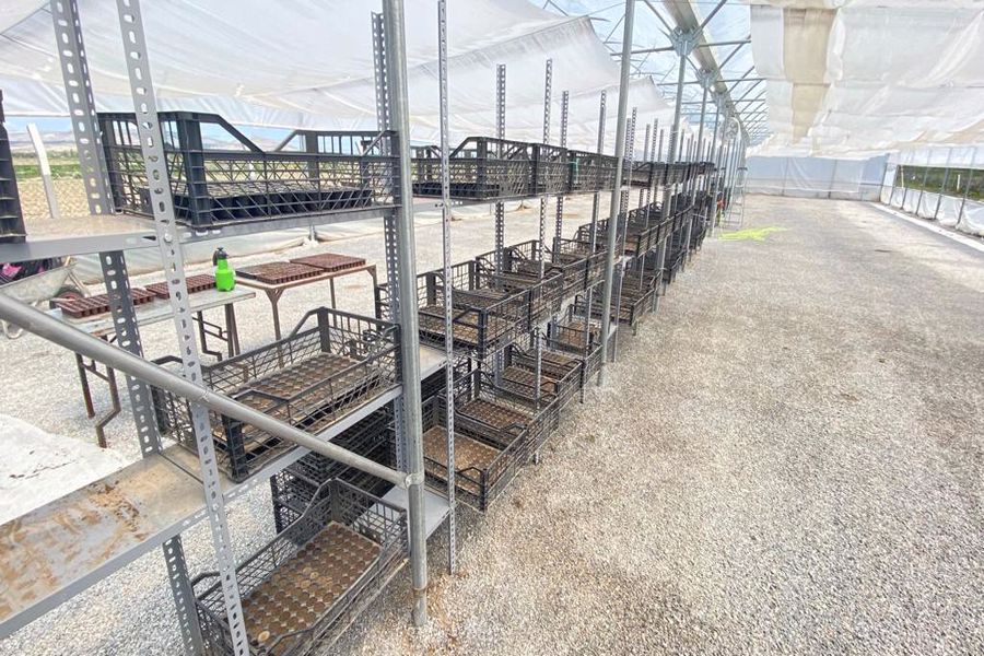 Emirdağ Belediyesi kurulan sera ile mevsimlik çiçek ve süs bitkilerini