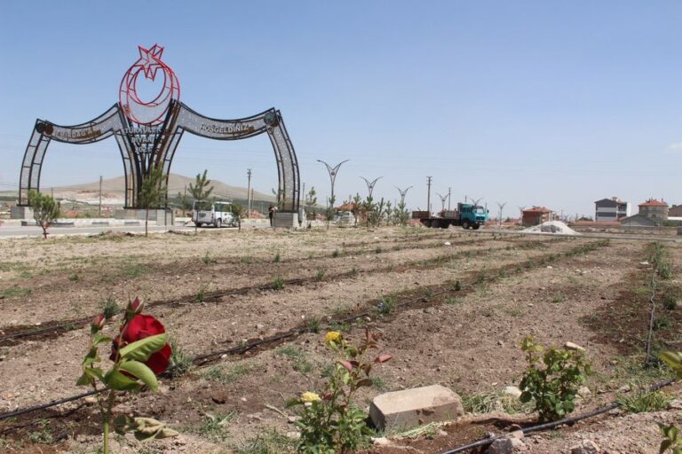 Lavanta Bahçemizdeki Lavantalar Yeşermeye Başladı