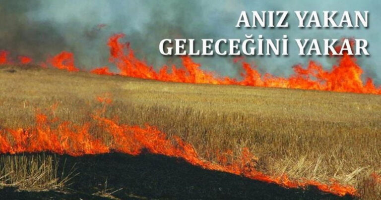 ANIZ VE ORMAN YANGINLARINA DİKKAT!