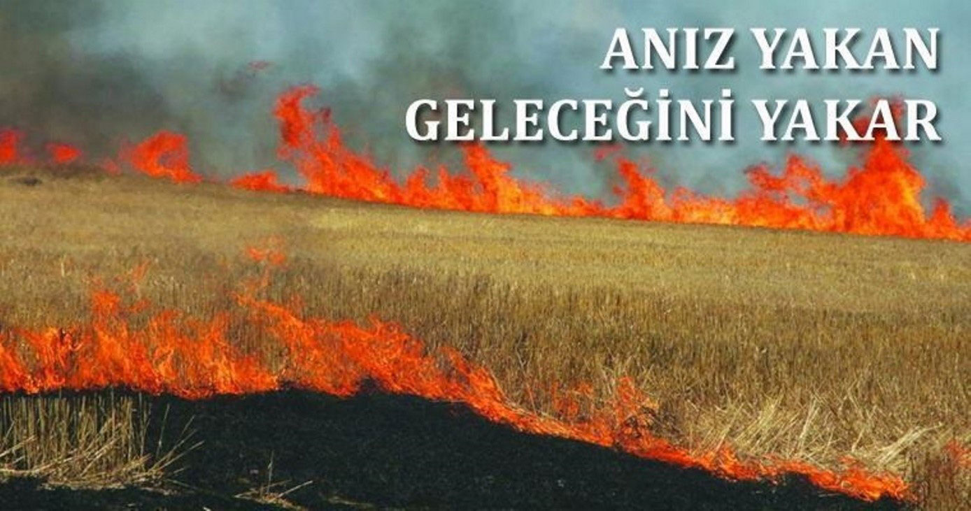 ANIZ VE ORMAN YANGINLARINA DKKAT!         Afyonkarahisar