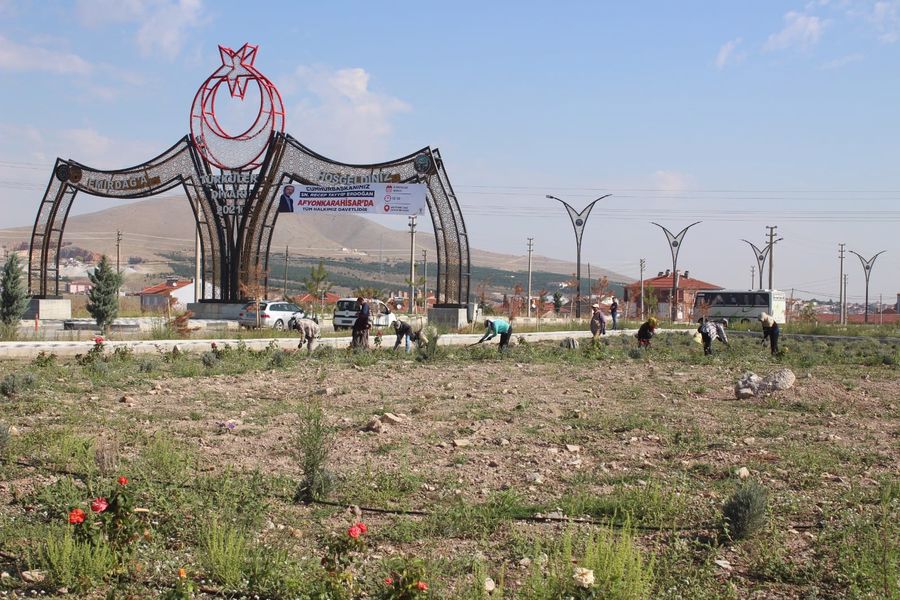 Emirdağ Belediyesi tarafından hayata geçirilen Lavanta Bahçesi projesinde yabancı ot
