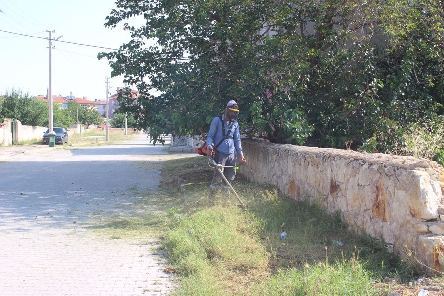 Belediyemiz tarafından ilçemizde bulunan mahalle, cadde ve sokaklarda bulunan yabani