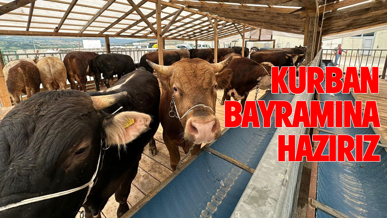 BELEDYE KURBAN BAYRAMINA HAZIR! Afyonkarahisar Belediyemiz Kurban Bayram’na yönelik tedbirleri