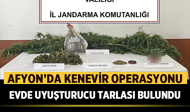Afyon’da Kenevir Operasyonu: Evde Uyuşturucu Tarlası Bulundu – Asayiş Afyonkarahisar İl Jandarma Komutanlığı ekipleri, Sandıklı ilçe merkezinde ikamet eden