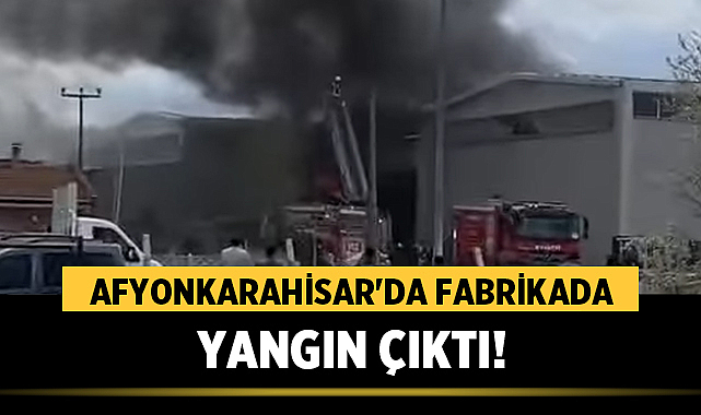 Afyonkarahisar Organize Sanayi Bölgesi’nde bulunan bir fabrikada aniden yangın çıktı.