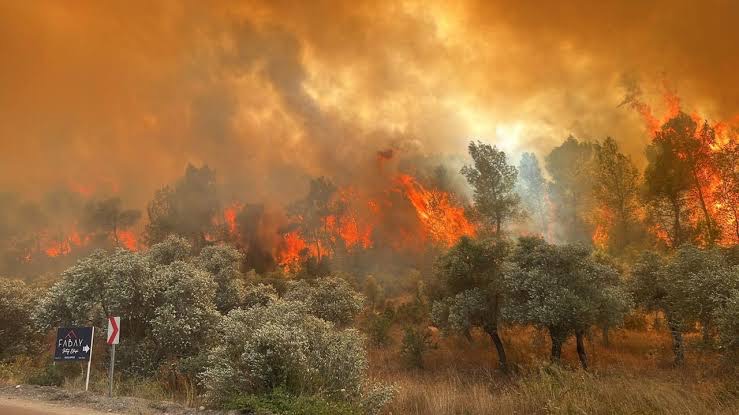 Sakarya'nın Geyve ilçesinde başlayıp Bilecik’in Osmaneli ilçesine sıçrayan orman yangını,