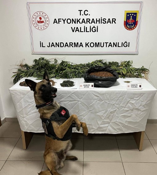 Afyonkarahisar’da Jandarmadan Uyuşturucu Operasyonları: Çok Sayıda Madde Ele Geçirildi Afyonkarahisar