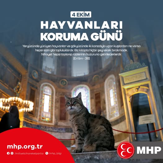 MHP’den Anlamlı Hayvan Hakları Vurgusu Milliyetçi Hareket Partisi (MHP) Afyonkarahisar