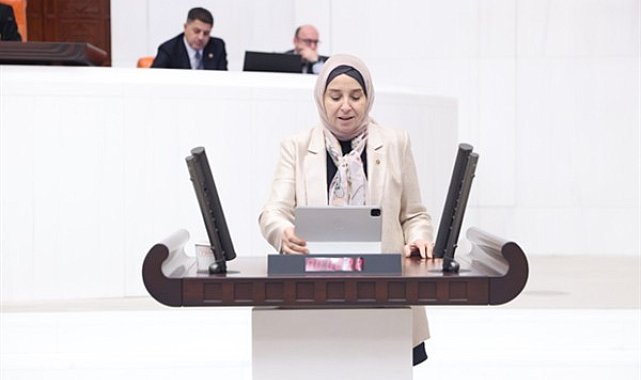 DEVA Partisi Genel Başkan Yardımcısı ve İstanbul Milletvekili Esen, TBMM