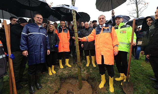 İstanbul Büyükşehir Belediyesi (İBB), 39 ilçede eş zamanlı ağaç dikim