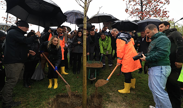İBB, 11 Kasım “Milli Ağaçlandırma Günü” kapsamında İstanbul’un iki yakasında