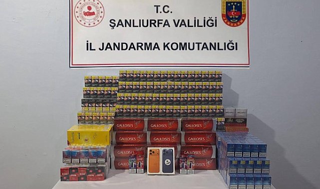 Şanlıurfa İl Jandarma Komutanlığı tarafından 8 – 12 Kasım 2025