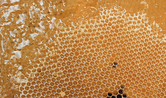 Sanayi ve Teknoloji Bakanı Mehmet Fatih Kacır, Türkiye’nin kıymetli ürünlerinin