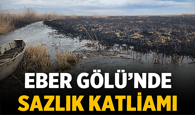 Eber Gölü yangınında 200 dekar sulak alan tahrip oldu. Yaban