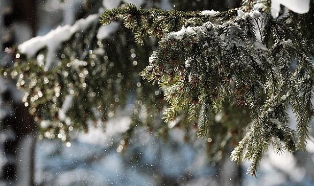 Ordu’da okullar tatil mi? 13 Ocak 2026 kar tatili duyurusuOrdu
