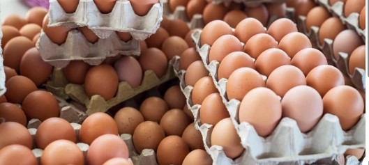   YUM-BİR Başkanı İbrahim Afyon: “Üretimdeki artış arz güvenliği açısından