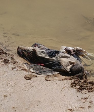 <iframe width=”560″ height=”315″ data-src=”https://www.youtube.com/embed/I1YiVgdh610?si=rwpmg2AiwbqQN7w9″ title=”YouTube video player” frameborder=”0″ allow=”accelerometer; autoplay;