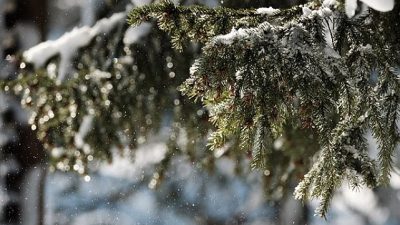 Kar yağışı Ordu’da hayatı durma noktasına getirdi. Mart ayına beyaz