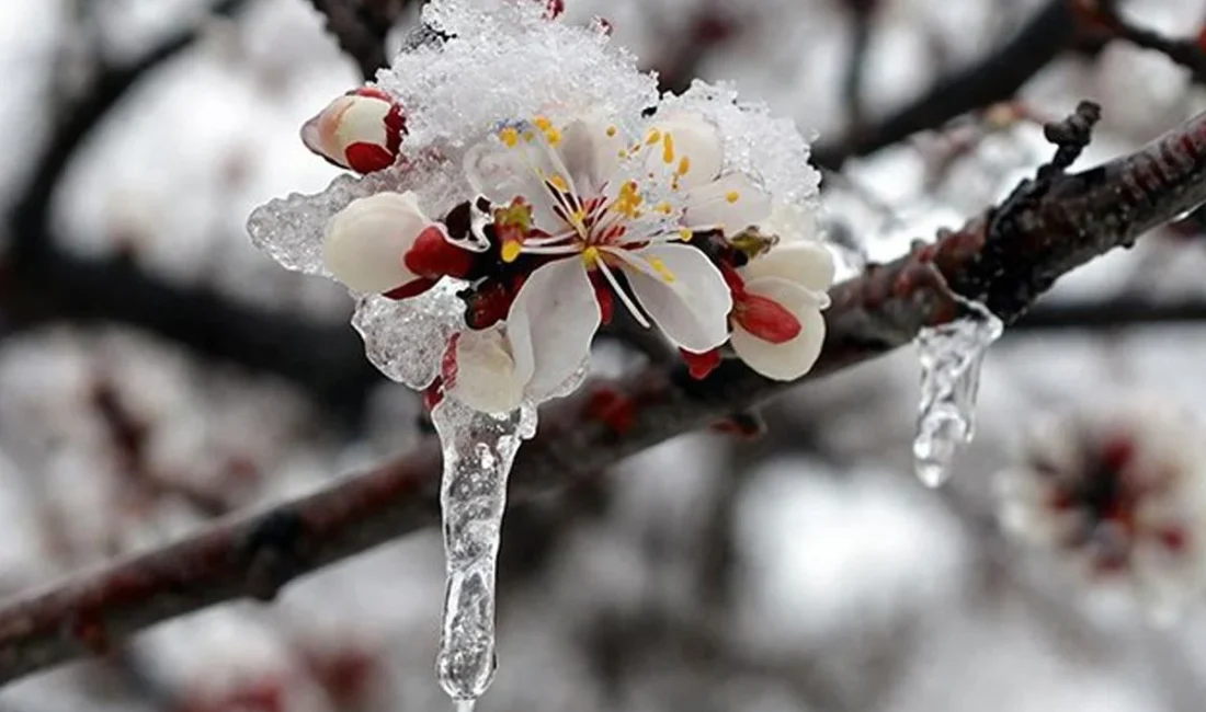 Yetkili kaynaklardan gelen bilgilere göre, 42 İl İçin Sarı Kodlu