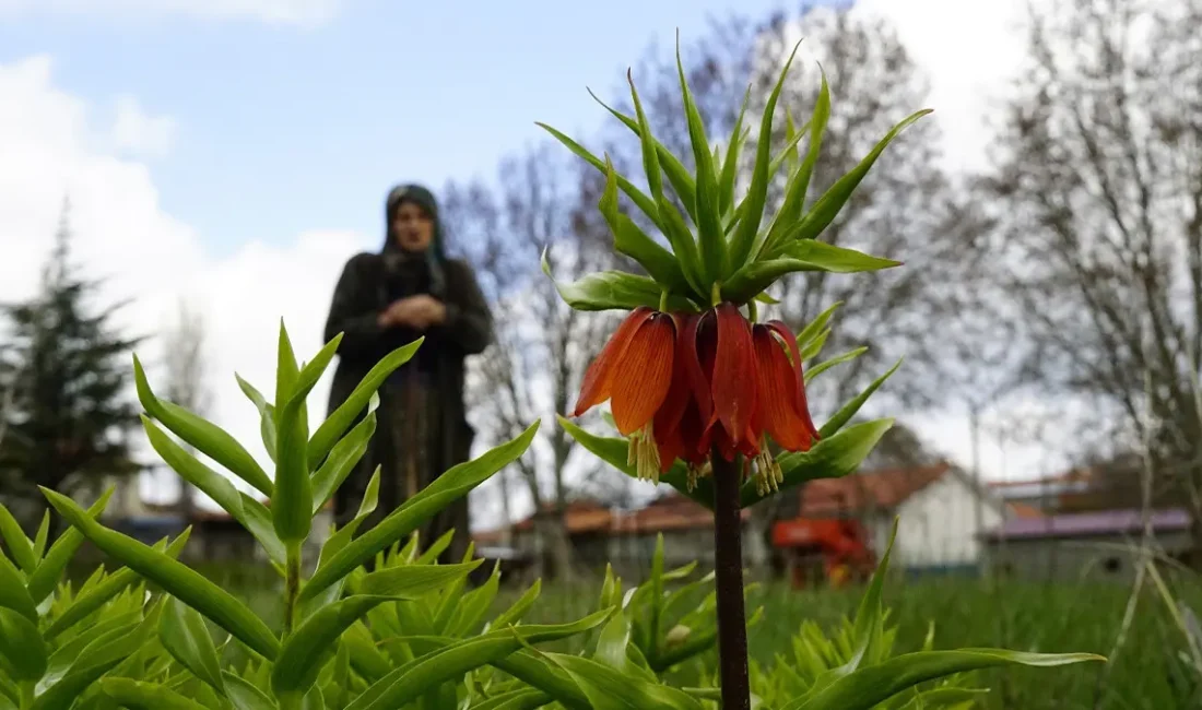 Son dakika bilgilerine göre, Denizli’nin Bozkurt ilçesi Hayrettin Mahallesi, 5