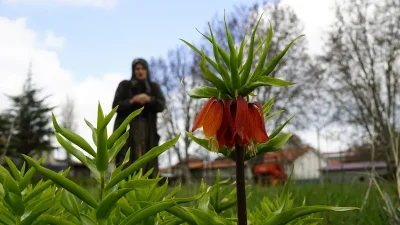 Son dakika bilgilerine göre, Denizli’nin Bozkurt ilçesi Hayrettin Mahallesi, 5