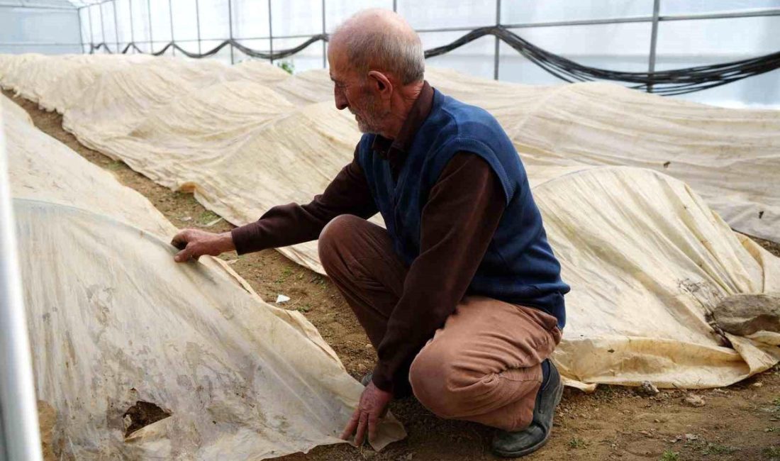 76 Yaşındaki Çiftçi Ata Tohumları İçin Sıfırın Altındaki Soğukta Nöbette Son dakika bilgilerine göre, Bayburtlu Üreticinin Ata Tohumu Nöbeti Bayburt’un