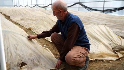 Son dakika bilgilerine göre, Bayburtlu Üreticinin Ata Tohumu Nöbeti Bayburt’un