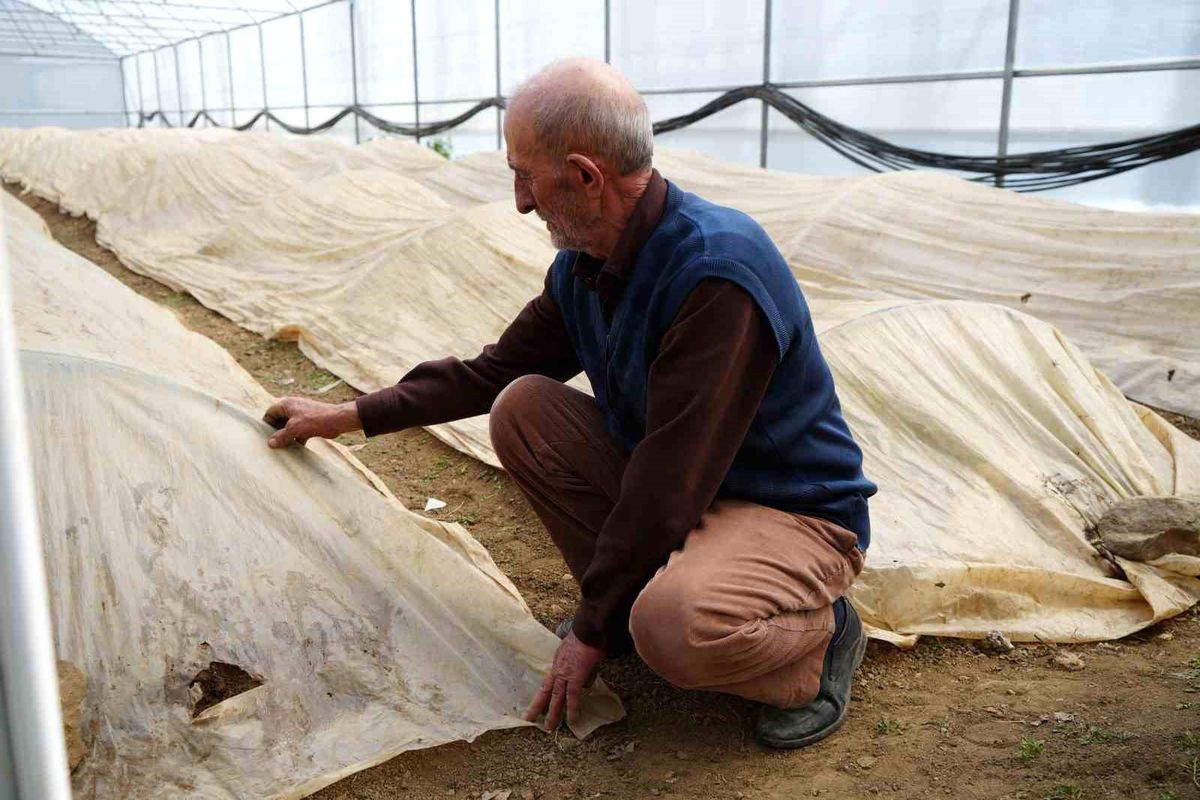 Son dakika bilgilerine göre, Bayburtlu Üreticinin Ata Tohumu Nöbeti Bayburt’un