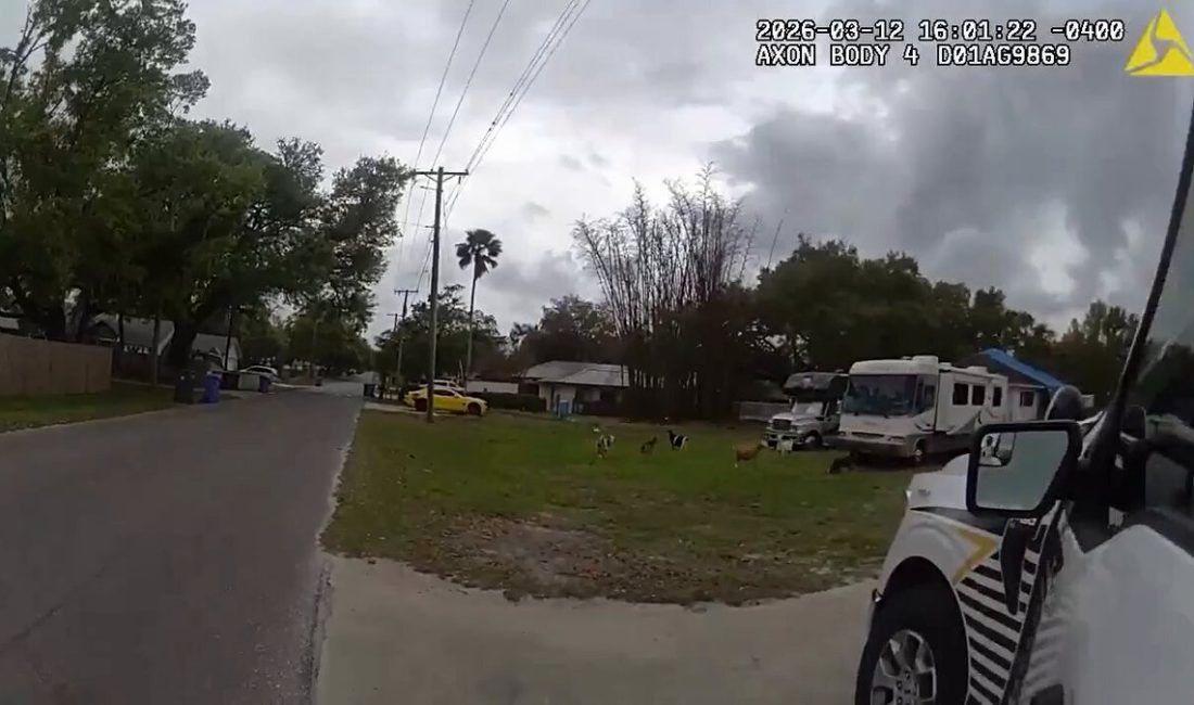 Gündeme gelen son gelişmelere göre, Köpek taklidi yapan şerif yardımcısı