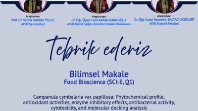 Yetkili kaynaklardan gelen bilgilere göre, Akademik başarı uluslararası arenada taçlandı