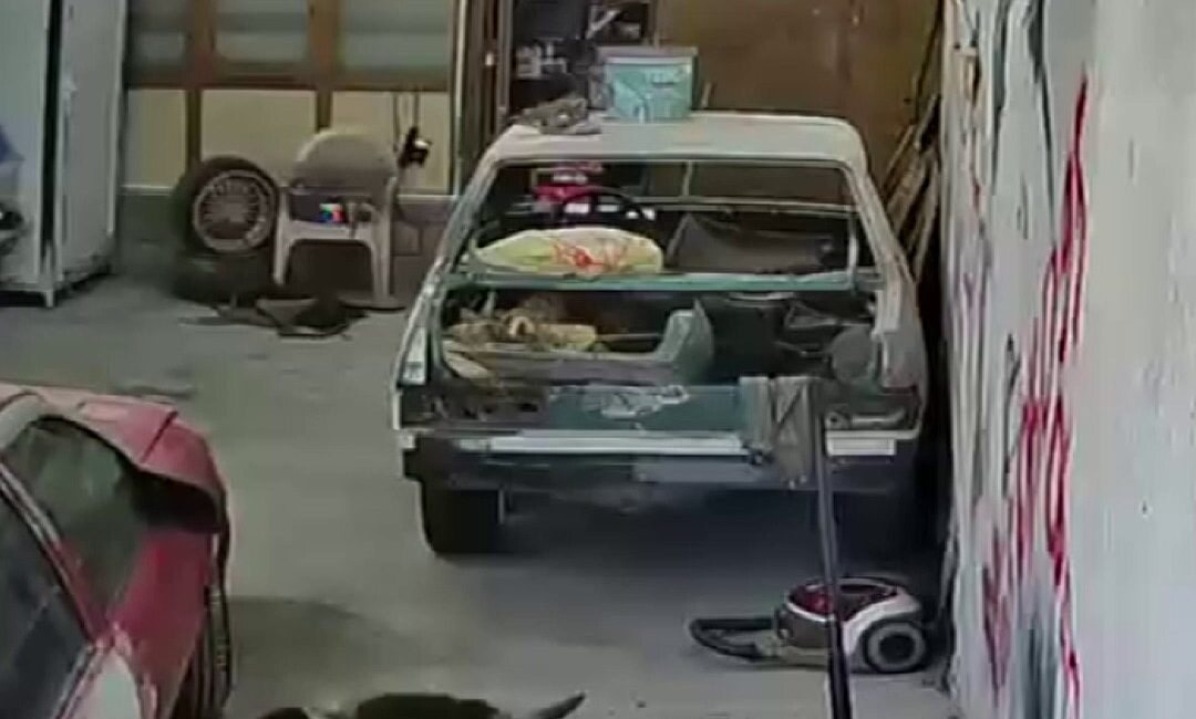 Kamuoyunda büyük yankı uyandıran bu haberde, Elmadağ’da ilginç olay: Danalar