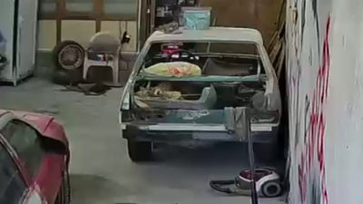 Kamuoyunda büyük yankı uyandıran bu haberde, Elmadağ’da ilginç olay: Danalar