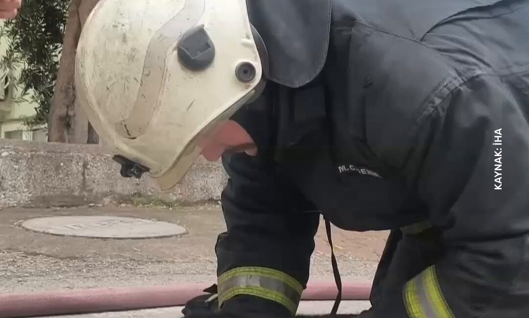 Yapılan açıklamalar doğrultusunda, Kedi Yangın Dumanından Son Anda Kurtarıldı. Kedi