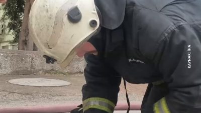 Yapılan açıklamalar doğrultusunda, Kedi Yangın Dumanından Son Anda Kurtarıldı. Kedi