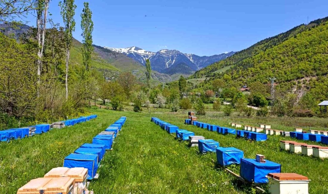 Gündeme gelen son gelişmelere göre, Soğuk Hava Arıcılığı Tehdit Ediyor