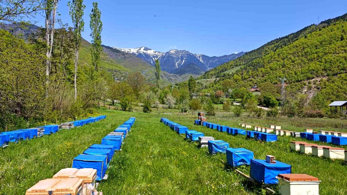 Gündeme gelen son gelişmelere göre, Soğuk Hava Arıcılığı Tehdit Ediyor