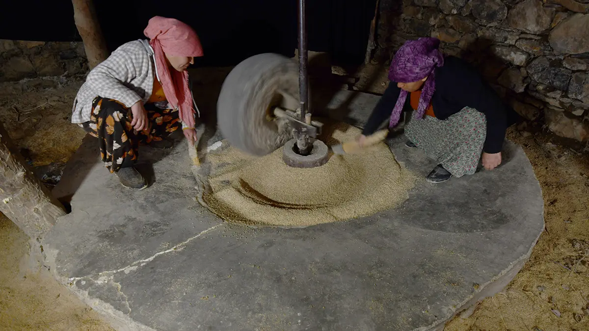 Merakla takip edilen bu gelişmede, Geleneksel Yöntemler Modern Taleple Buluşuyor