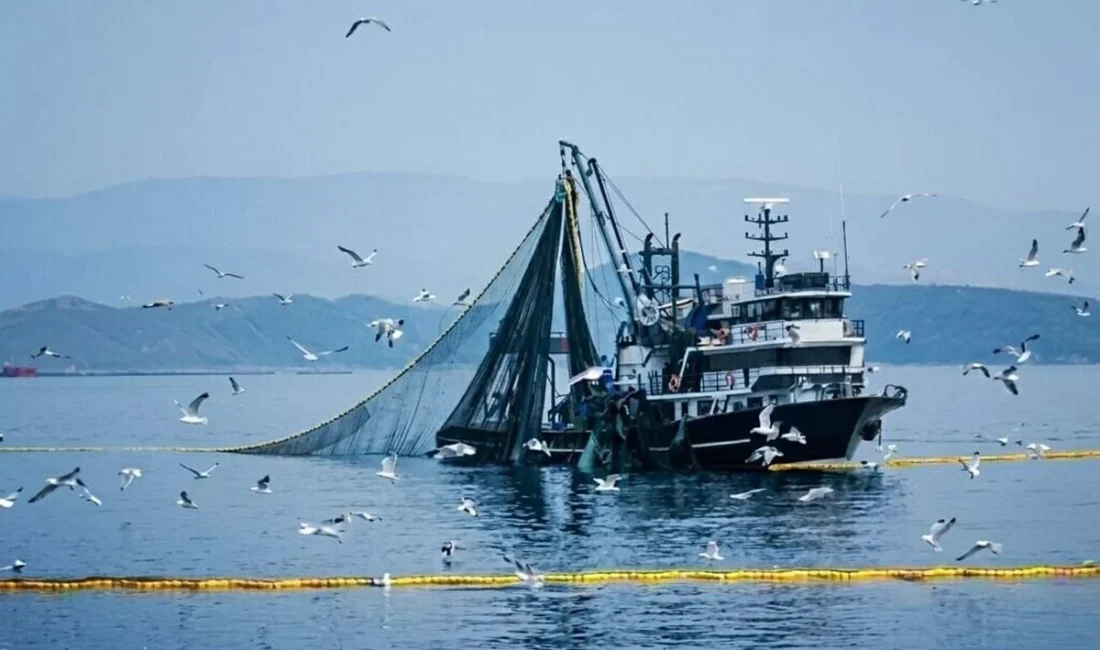 Yapılan açıklamalar doğrultusunda, Balıkçılıkta Kritik Dönem: 15 Nisan’da Av Yasağı