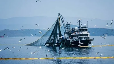 Yapılan açıklamalar doğrultusunda, Balıkçılıkta Kritik Dönem: 15 Nisan’da Av Yasağı