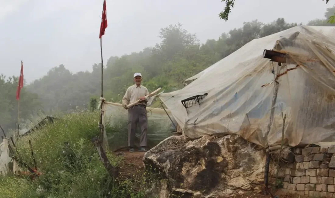 Son dakika bilgilerine göre, Dağdaki 12 Yıllık Yalnız Yaşam Aydın’ın