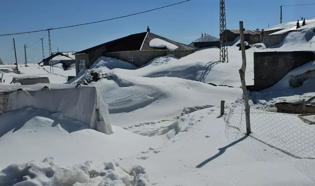 Merakla takip edilen bu gelişmede, Bahar Ayında Kış Kabusu: 3