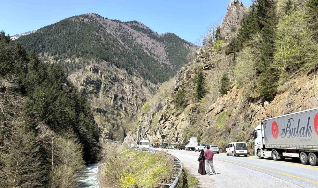 Yapılan açıklamalar doğrultusunda, Kaya düşmesi nedeniyle yol bir saat kapalı