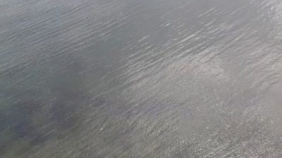 Kamuoyunu yakından ilgilendiren bu haberde, Balkondan balık keyfi Mudanya’da yaşandı