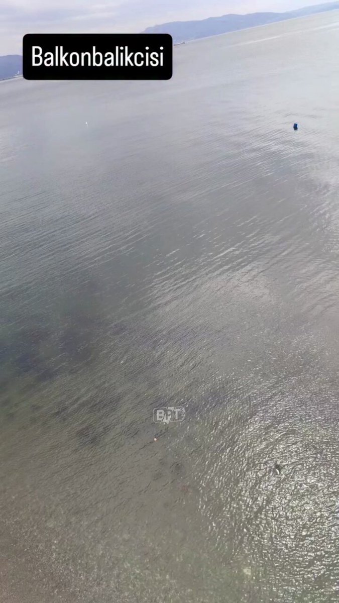 Kamuoyunu yakından ilgilendiren bu haberde, Balkondan balık keyfi Mudanya’da yaşandı