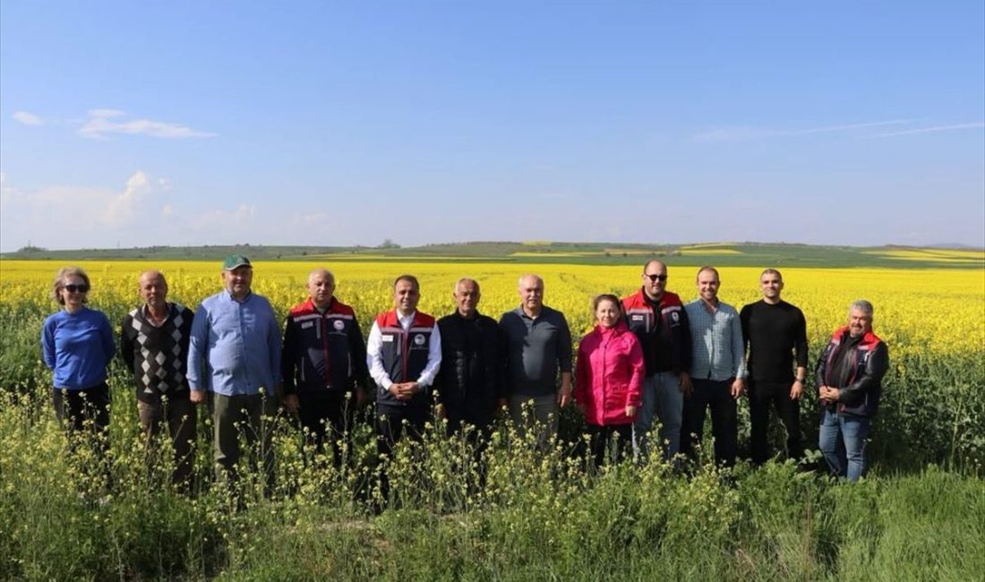 Yetkili kaynaklardan gelen bilgilere göre, Edirne’de Tarım Sahaları Yerinde Denetlendi