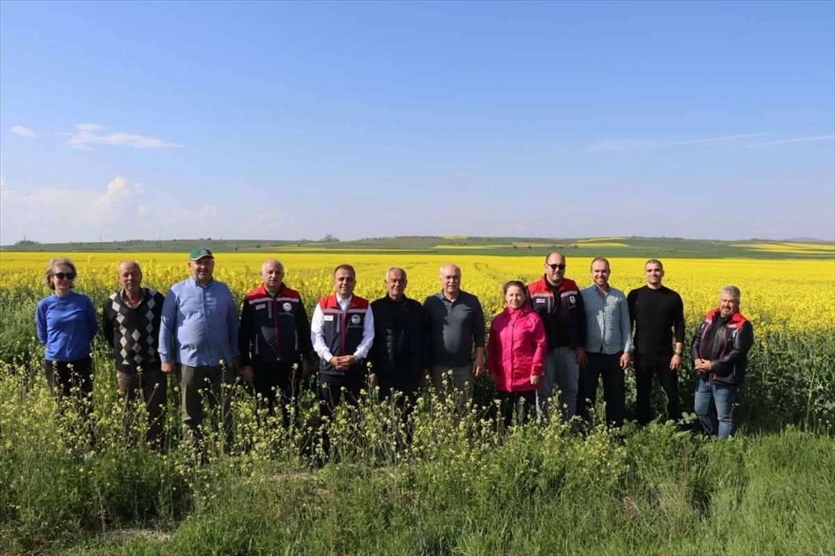 Yetkili kaynaklardan gelen bilgilere göre, Edirne’de Tarım Sahaları Yerinde Denetlendi