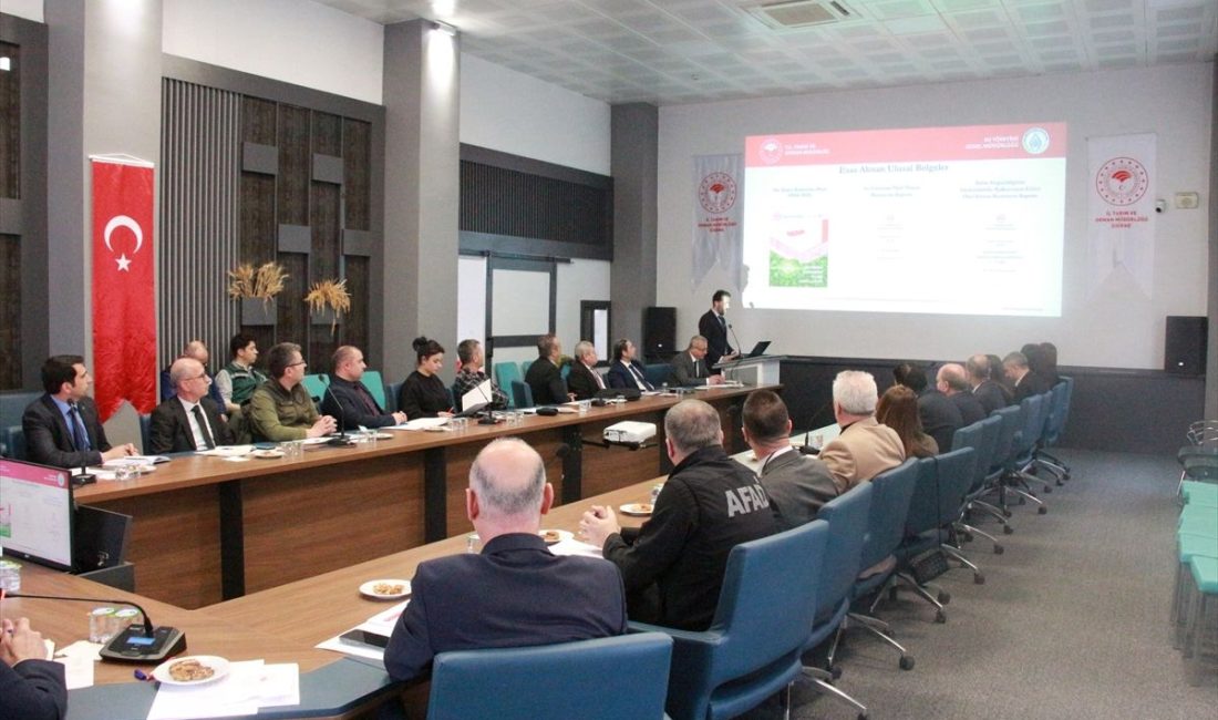 Kamuoyunda büyük yankı uyandıran bu haberde, Edirne’den Dört Farklı Alanda